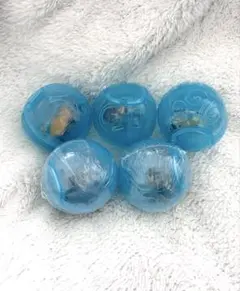 ワンピの実　第七海戦　5個セット