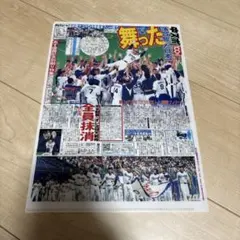 Item thumbnail for item f4784a42-2b36-4674-a65e-0624389198f3