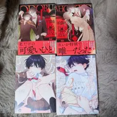 BL 漫画 4冊セット ナカまであいして1.2巻 踊る阿呆と腐れ外道上下