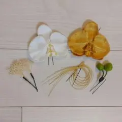 Item thumbnail for item f486f29e-1207-42f5-8fa7-9b6dc6dfa808