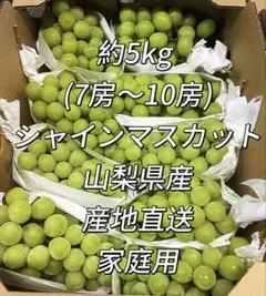 山梨県産 訳あり 家庭用 シャインマスカット 7房 箱込み6kg ⑧ - メルカリ