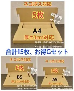 ★ Gセット新商品新規格A4:5枚・B5:5枚・A5:5枚ネコポス対応合計15枚のサムネイル