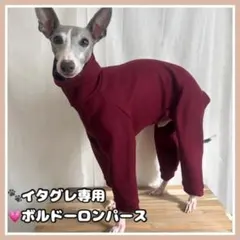 USHHジッパー付ピンクジャージロンパース L - メルカリ