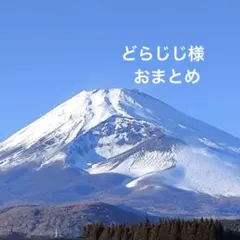 どらじじ様 リクエスト 2点 まとめ商品