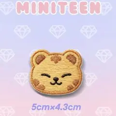 セブチ MINITEEN ミニティーン ワッペン ホシ