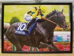 2026年最新】ジャンタルマンタル 競馬の人気アイテム - メルカリ