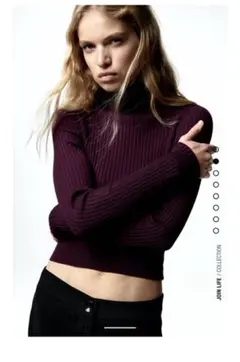 ZARA タートルセーター