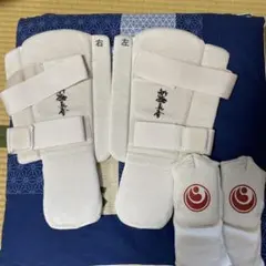 Item thumbnail for item 7390373a-faec-4d3e-8222-fc13e07a4039