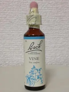 Item thumbnail for item 8d0c1241-909d-4cef-aa42-9cec58ed2c75