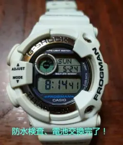 2026年最新】FROGMAN 9900の人気アイテム - メルカリ