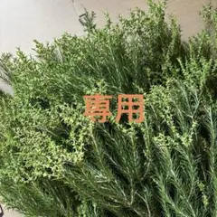 aya様専用です！
