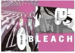 BLEACH ポプショ メタリック ポスター コレクション 市丸 ギン - メルカリ