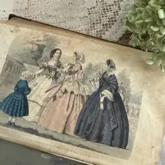 レア1880年アンティーク美しい絵本ヴィクトリアン洋書　古書ジャンクジャーナル レア1880年アンティーク美しい絵本ヴィクトリアン洋書 古書