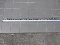 Item thumbnail for item 443eaec7-0c3f-44e5-8ecb-6becc47bdbd0