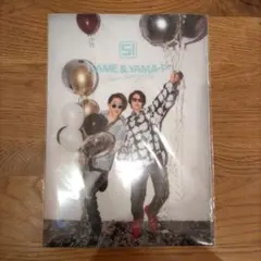 亀と山P SI クリアファイル