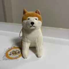 柴犬 ぬいぐるみ マスコットぬいぐるみキーホルダー