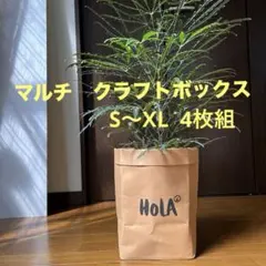 鉢カバー 小物入れ 観葉植物 収納 クラフト紙 おしゃれ ナチュラル 雑貨