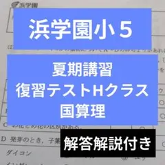2026年最新】浜学園 復習テストの人気アイテム - メルカリ