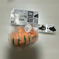 ぱくもぐ サメジャー ネコザメ