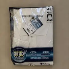 Item thumbnail for item 5f10819c-767f-449c-b1de-268411b3ef2b