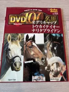 2026年最新】名馬 GALLOP 100の人気アイテム - メルカリ