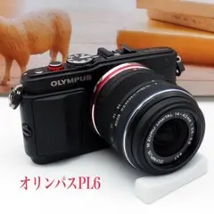 2026年最新】olympus pen e-pl6 望遠レンズの人気アイテム - メルカリ