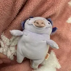 2026年最新】ぬいぐるみ ウーパールーパーの人気アイテム - メルカリ