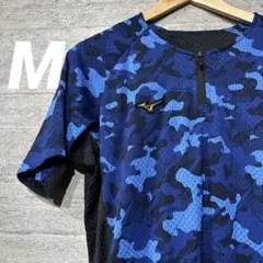 Item thumbnail for item 34b67615-e31c-4165-9a5a-6293db88c78b