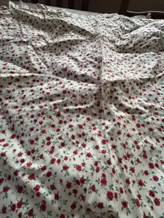 Item thumbnail for item fb0bd556-d025-425b-bcbc-e5cd09968bdb