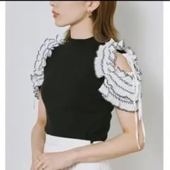 SNIDEL★ダブルフリルバイカラーニットプルオーバー