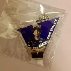 サンフレッチェ広島 アクリルキーホルダー 14 松本泰志選手