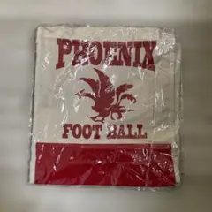 日本大学PHOENIX まとめ売り アメフト - 1年生QBが躍動 日本大学フェニックスが関西学院大を下して