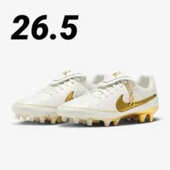 2025年最新】nike ロナウジーニョの人気アイテム - メルカリ