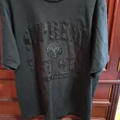 Item thumbnail for item 481d0d2c-177b-40f3-a24a-5ed208fedd38