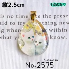 ⭐️ワンコイン⭐️No.2575 レジン ペンダントトップ 猫 ねこ ネコ ♡