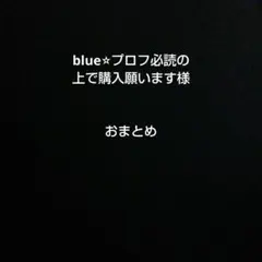 blue⭐︎プロフ必読の上で購入願います様 リクエスト 10点 まとめ商品