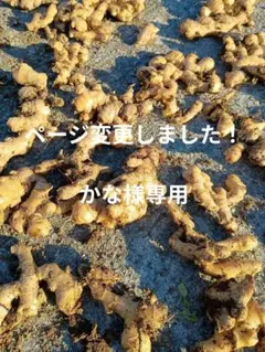 かな様専用＊＊＊生姜600グラム