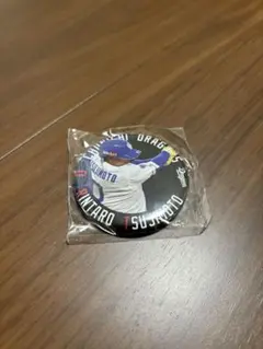 辻本倫太郎 缶バッジ ガチャ