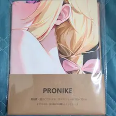 未開封　おりきゃら　IS　シャルロット　バスタオル　タペストリー