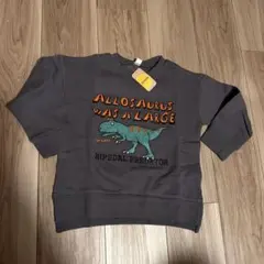 Item thumbnail for item 5839c992-2909-44b3-a2f3-9f4e92f94f18