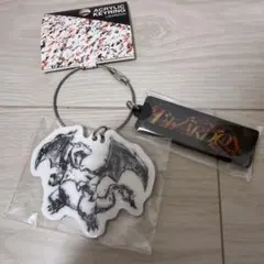 リザードン LIZARDON アクリルキーホルダー