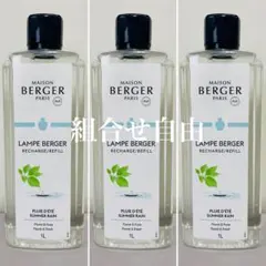 2026年最新】ランプベルジェの人気アイテム - メルカリ