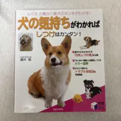 Item thumbnail for item 7c69e3c1-c29a-4d8f-ba69-798e499bb22d