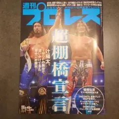 週刊プロレス 11月19日 NO.2383