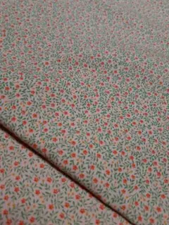 Item thumbnail for item cf77a8fe-d142-4efb-9c0c-56a61d2a620d