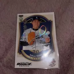 Item thumbnail for item 0d648f7c-9868-46bf-9f20-f936b63559c4