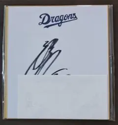 Item thumbnail for item 7fc09374-71cf-459e-a543-d84d7a07cc09