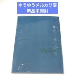 ALD1 少年BEAST Cementic Nest 未開封 ①