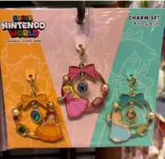 USJ 限定　マリオ　ピーチ姫　ロゼッタ　チャーム　キーチェーン
