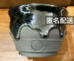 新品未使用 藤原純 鶴仙園 鉢 2026年最新】鶴仙園 鉢の人気アイテム - メルカリ